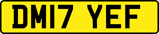 DM17YEF