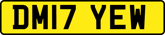 DM17YEW