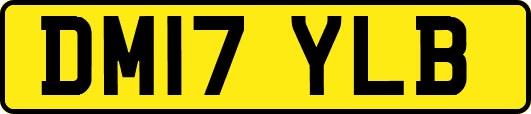 DM17YLB