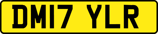 DM17YLR