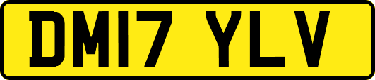 DM17YLV