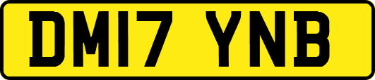 DM17YNB
