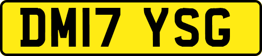 DM17YSG
