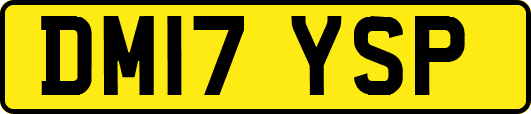 DM17YSP
