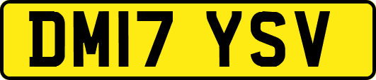 DM17YSV