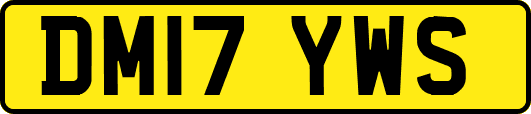DM17YWS