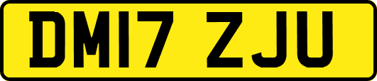 DM17ZJU