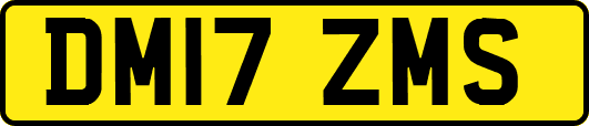 DM17ZMS