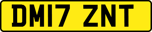 DM17ZNT