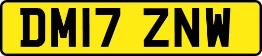 DM17ZNW