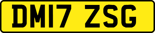 DM17ZSG