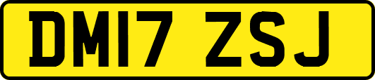 DM17ZSJ
