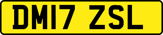 DM17ZSL