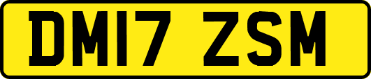 DM17ZSM