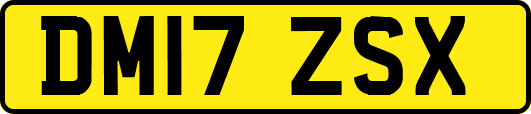DM17ZSX