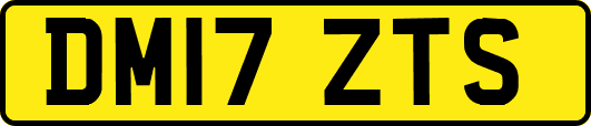 DM17ZTS