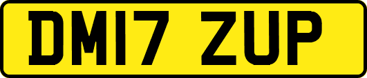 DM17ZUP