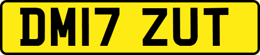 DM17ZUT