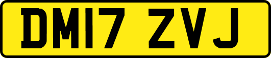 DM17ZVJ