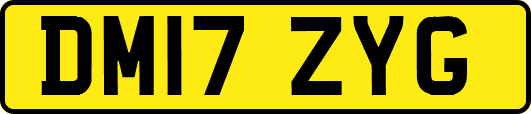 DM17ZYG