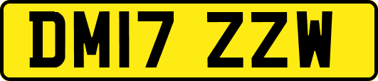 DM17ZZW