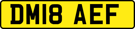DM18AEF