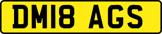 DM18AGS