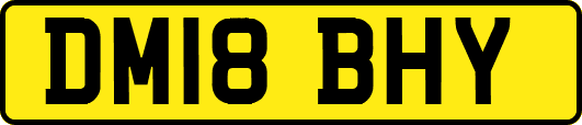 DM18BHY