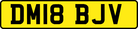 DM18BJV