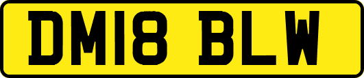 DM18BLW