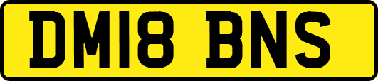 DM18BNS