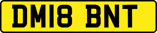 DM18BNT
