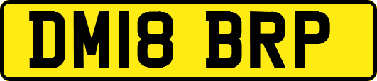 DM18BRP