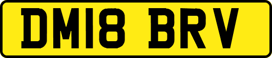 DM18BRV
