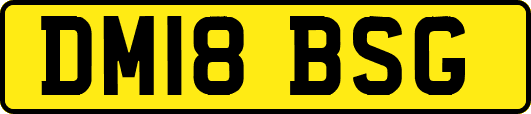 DM18BSG
