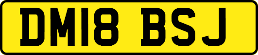 DM18BSJ