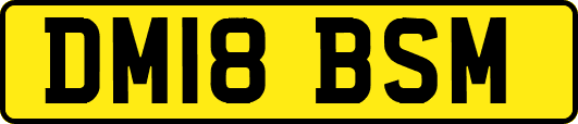 DM18BSM