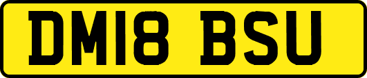 DM18BSU