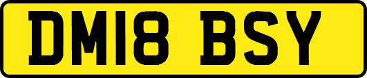 DM18BSY