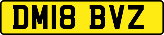 DM18BVZ