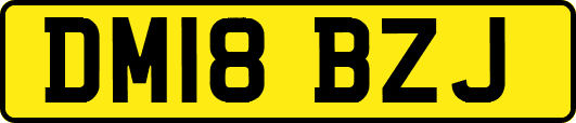 DM18BZJ