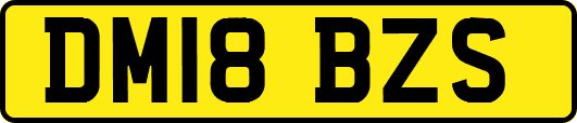 DM18BZS