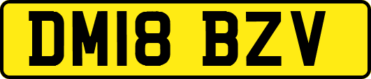 DM18BZV