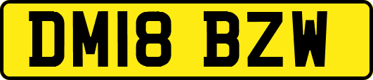 DM18BZW