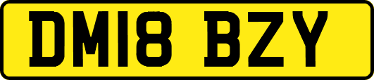 DM18BZY