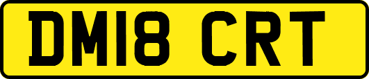 DM18CRT