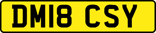 DM18CSY