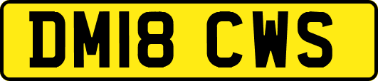 DM18CWS