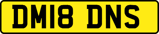DM18DNS