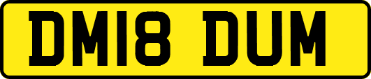 DM18DUM